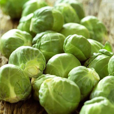 CYBEXIS Excellent Producing Brussels Sprouts Seeds1000 Seeds Seed(1000 per packet)