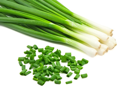 Qualtivate ICRA-3A Bunching Onion Evergreen Seeds Seed(500 per packet)