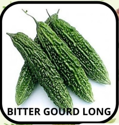 Qualtivate KXL-9AT High Growth Hybrid Bitter Gourd (Karela) Seed(50 per packet)