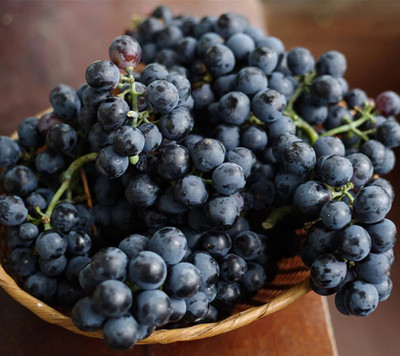 Quentova Black Grapes Fruit-HQL-9A Seed(150 per packet)