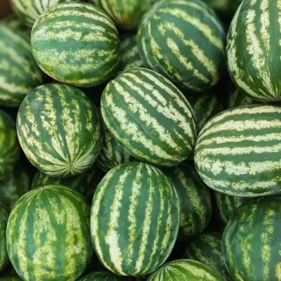 EMKOT SWEET JUICY YELLOW WATERMELON Seed(50 per packet)