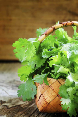 ZIXA Coriander Seed(800 per packet)