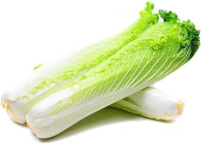 ibains Green chinese cabbage seeds vegetable pack of 10 Seed(10 per packet)