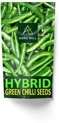 WILLVINE PUSA -XVI Hybrid Jwala Pariksha Chilli[5gm, 1000 Seeds] Seed(1000 per packet)