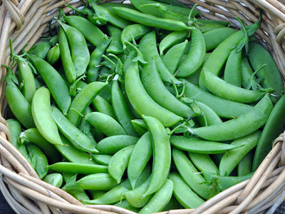 WILLVINE PUAS-329 Pea Edible Pod Sugar Snap Seed(50 per packet)