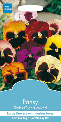 CYBEXIS Flower - Pansy Swiss Giants Mixed Seed(50 per packet)