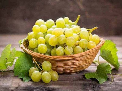 XOLDA Organic grapes Seed(27 per packet)