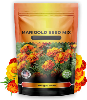Qualtivate ATS-569 Premium Marigold Seeds Mix Seed(500 per packet)