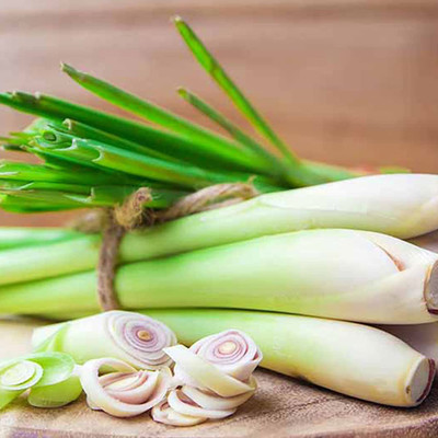 VibeX XLR-91 - Lemon Grass Plant Repels Insects - (750 Seeds) Seed(750 per packet)