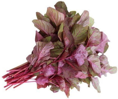 BDSresolve Red spinach seeds PACK OF 3000 Seed(3000 per packet)