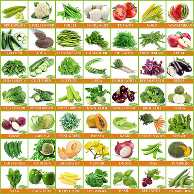 CYBEXIS Vegetable & Fruit Combo(Pack of 50) Seed(10 g)