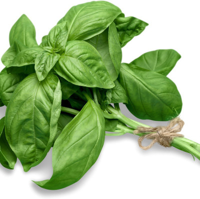 XEFRA Italian Basil Herb Seed(100 per packet)