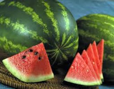 KNESSiN Melon Watermelon Babyless Conventional-{200 Seeds} Seed(200 per packet)