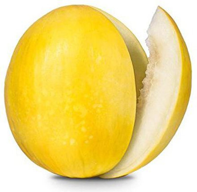 VibeX VXI-36 - Yellow MelonCantaloupe Muskmelon Kharbuja - (1350 Seeds) Seed(1350 per packet)