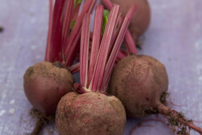 LPR CHUKANDAR,,BEETROOT Seed(50 per packet)
