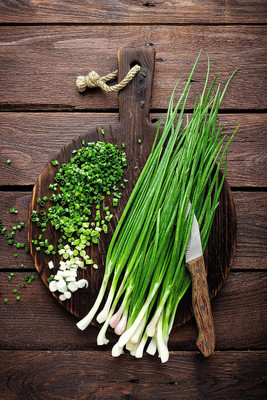 WILLVINE ROX -VI Scallion Bunching Onion Seeds [1g] Seed(750 per packet)