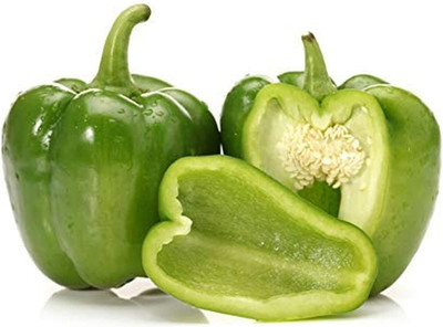 KNESSiN Capsicum Green Seed(400 per packet)