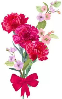 MAA Carnation Seed(30 per packet)