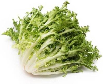 CYBEXIS CURLY ENDIVE GREEN SEEDS-350 Seeds Seed(350 per packet)