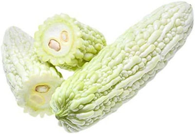 Qualtivate PUA-3A Heirloom White Balsam Pear Bitter Melon Seeds Seed(50 per packet)
