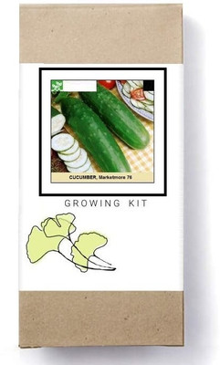 Biosnyg Marketmore Cucumber-[250 Seeds] Seed(250 per packet)