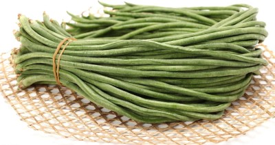 KNESSiN DLX-38 Long Beans Seed(150 per packet)