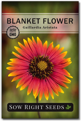 WILLVINE ™ Blanket Flower Seeds-100 SEEDS Seed(100 per packet)