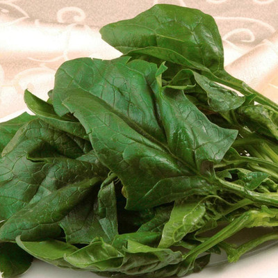 KNESSiN Spinach Seed(1250 per packet)