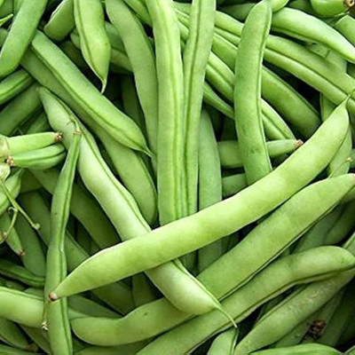 SREE Gwar Fali/Cluster Beans 104 Seed(20 per packet)