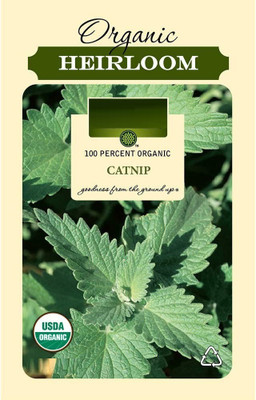 VibeX LXI-90 - Nepeta Cataria Catmint - (4500 Seeds) Seed(4500 per packet)
