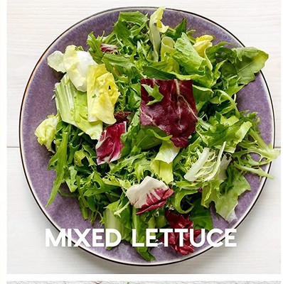 CYBEXIS Mixed Lettuce1000 Seeds Seed(1000 per packet)