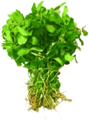 VibeX ® RXI-631 Amaranth Vegetable Seeds - Chawali Bhaji Seed(500 per packet)