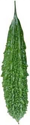 XOLDAA F1 BEST QUALITY BITTER GOURD SEEDS Seed(29 per packet)