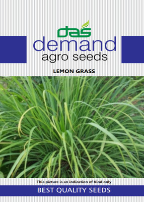 KRASHAK Lemon grass Seed(2 per packet)
