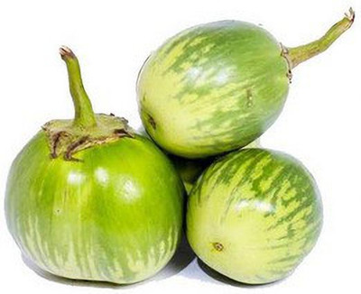 XOLDA Brinjal Green round Seed(28 per packet)