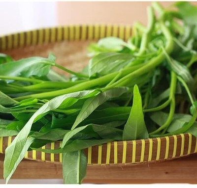 Pbevergreen chinese spinach seeds/water spinach seed 156 Seed(156 per packet)