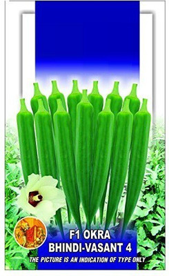 Qualtivate Country Heirloom Red Okra Red Ladies Finger Seeds Seed(100 per packet)