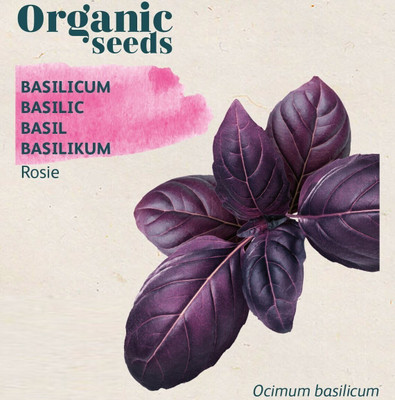 ONUS Purple Basil Aromatic Herbs Seed(100 per packet)