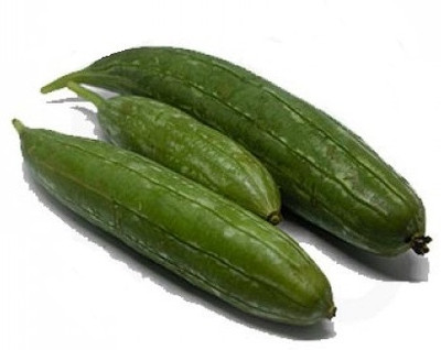 Quentova SPONGE GOURD - TORI-ROC-6W Seed(75 per packet)