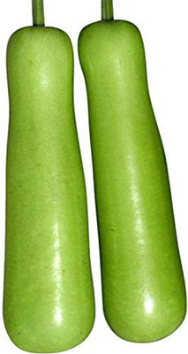 CYBEXIS High Yield Bottle Gourd Seeds 400 Seeds Seed(400 per packet)