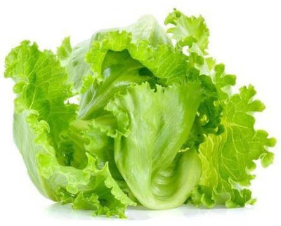DECOREEN Lettuce Seed(40 per packet)