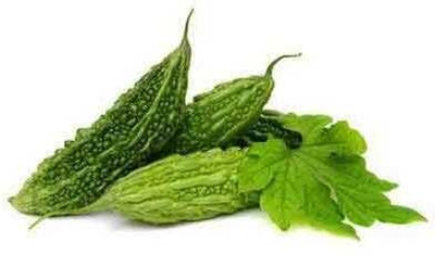 Paudhaa F1 BEST QUALITY BITTER GOURD SEEDS Seed(12 per packet)
