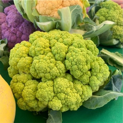 KNESSiN Cauliflower Green Seed(200 per packet)