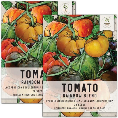 WILLVINE HUA-762 Tomato Seeds Rainbow Blend Seed(200 per packet)