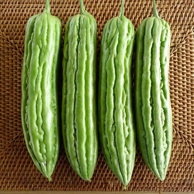 CYBEXIS LXI-22 - Organic Non-GMO Bitter Gourd - (900 Seeds) Seed(900 per packet)
