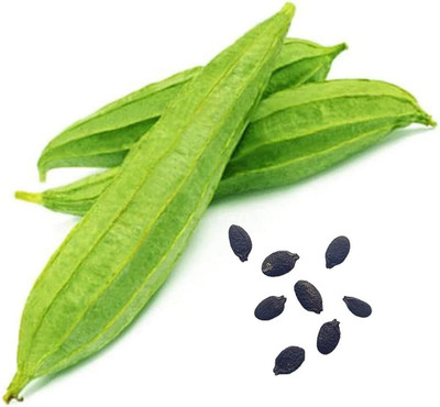 BDSresolve ridge gourd seeds hybrid f1/Ridge guard seed 7 Seed(7 per packet)