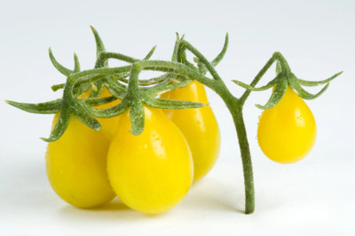 VRAKSHA Tomatoes Seed(2000 per packet)