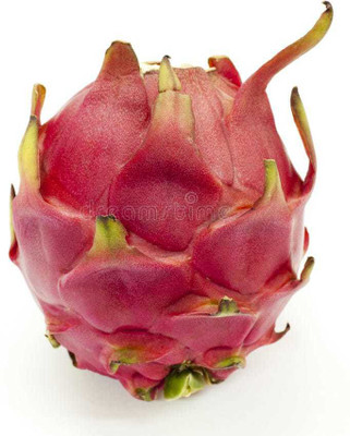 Oliver BEST QUALITY F1 HYBRID DRAGON FRUIT SEEDS Seed(24 per packet)