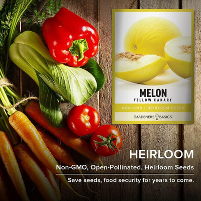 Qualtivate PUA-9A Yellow Canary Musk Melon Seeds Seed(200 per packet)