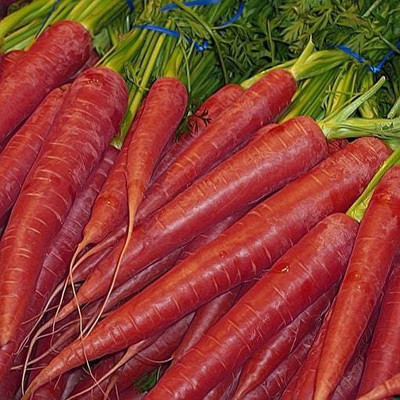 RUDAN Long Red Carrot Seed(2000 per packet)